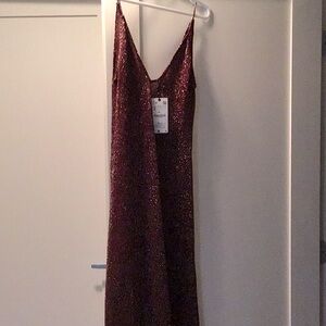 Zara dress